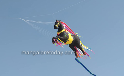 kite festival1...